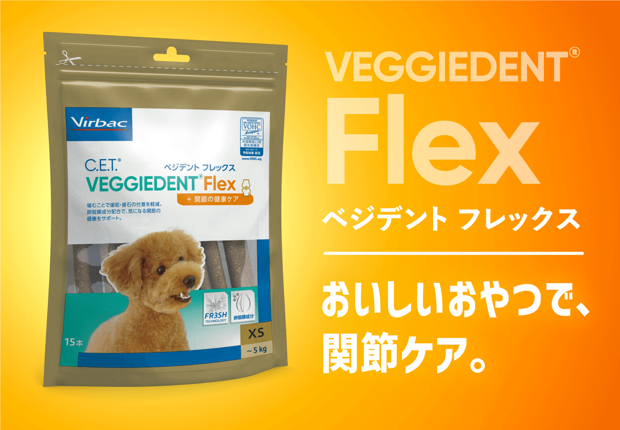 CET ベジデントフレッシュ XS 45本 個包装 ビルバック ベジデント