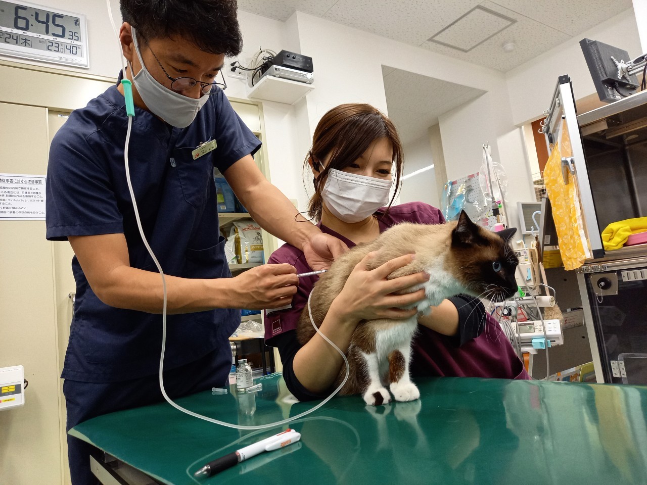 あ かばね 動物 クリニック